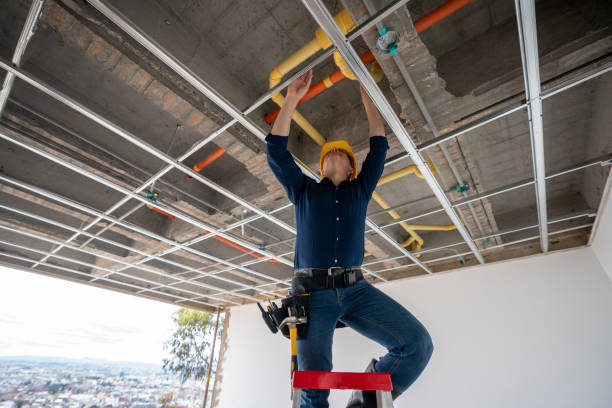 Best Leak Detection Services  in Idaho Springs, CO